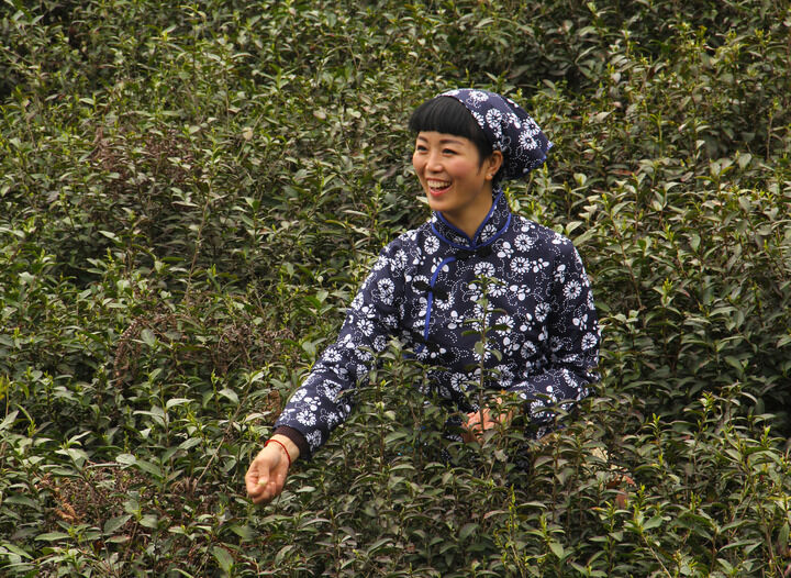 香煮伊在人线国产精品入口 热门2